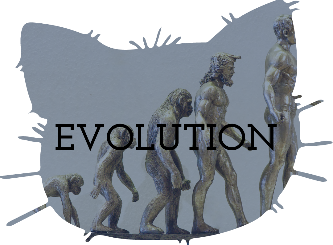 Evolution Teaching Resources