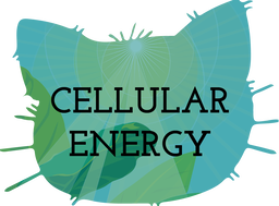 Cellular Energy Teaching Resources