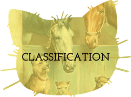 Classification Teaching Resources