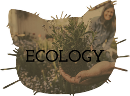 Ecology Teaching Resources