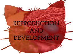 Reproduction and Development Teaching Resources