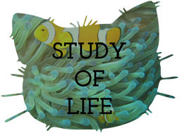 Study of Life Teaching Resources